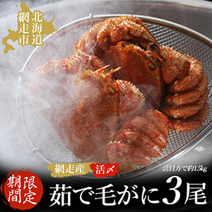 ڴָ48ۡήɹ衺觤Ӥ 3åȡ¢ء䡡