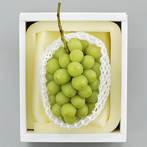 700g1˼