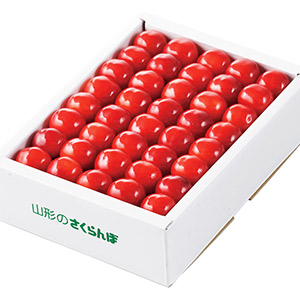 ͤᲽȢ 500gýL