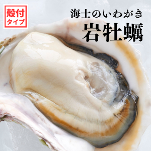 ()Τ郎ե륷3̥(Ĥ500g600g)䲴