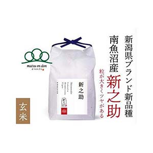 7ǯ俷ͽ» ǷʸơˡڤޤĤɤʤߤˡ10ȯͽ