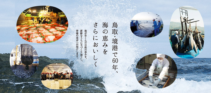 ҿ建