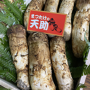 予約受付開始!!
<br>国産まつたけ